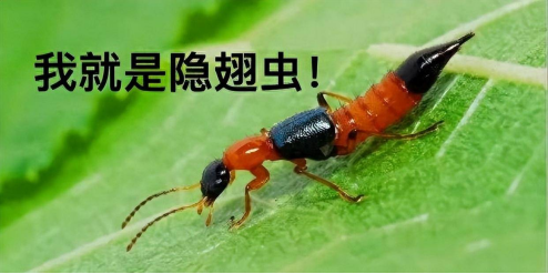 image.png image.png